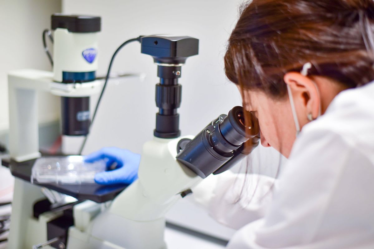 AI Detects Pancreatic Cancer 16 Months Before Doctors - Image 4