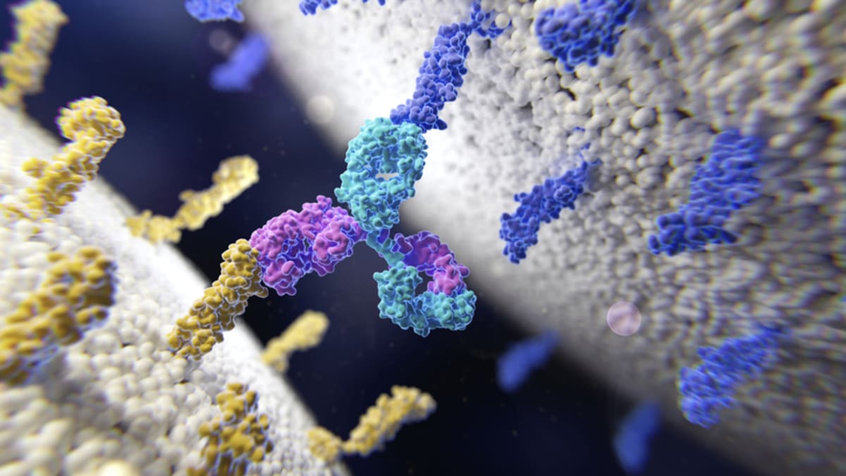 New Partnership Tackles Brain Drug Delivery Challenge - Image 4
