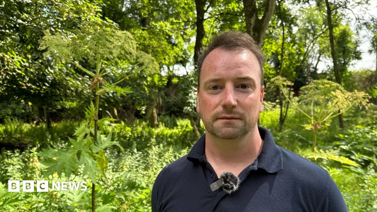Ireland River Project Cuts Toxic Giant Hogweed by 50%