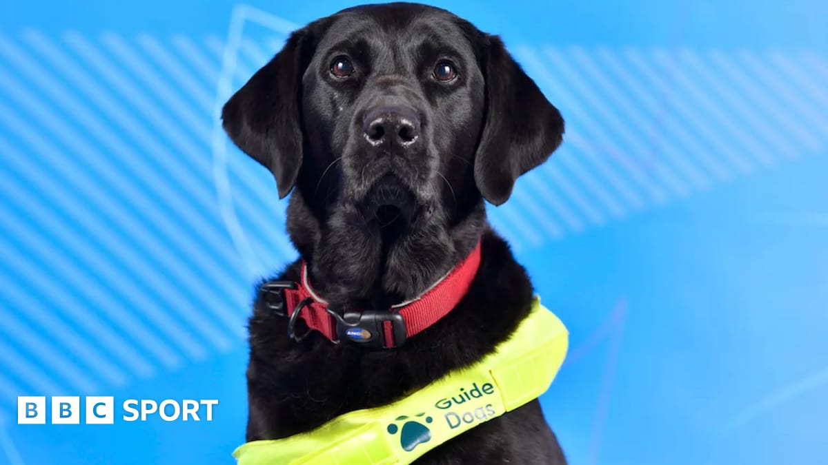 Guide Dog Pickle Steals Hearts at Winter Paralympics