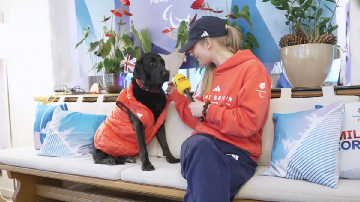 Guide Dog Pickle Steals Hearts at Winter Paralympics - Image 3