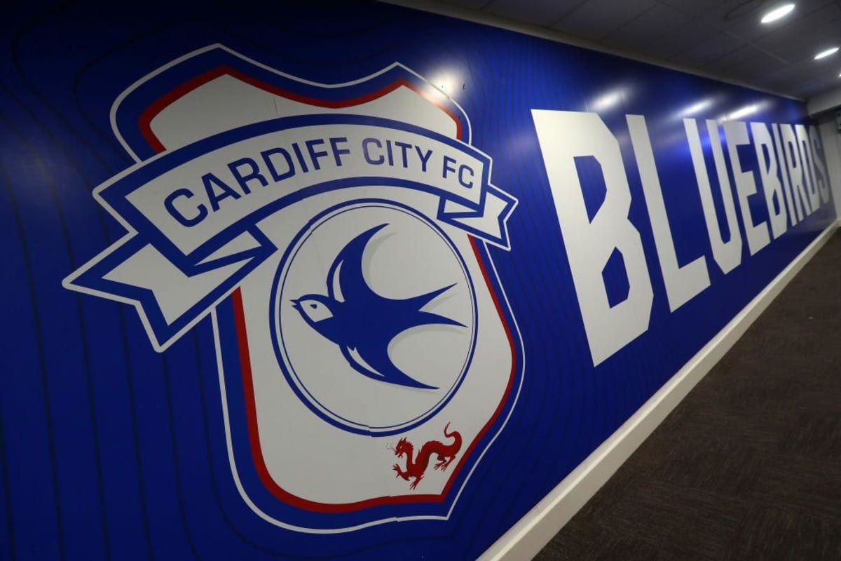 15-Year-Old Noah Anyadike Makes EFL Cup History for Cardiff - Image 4