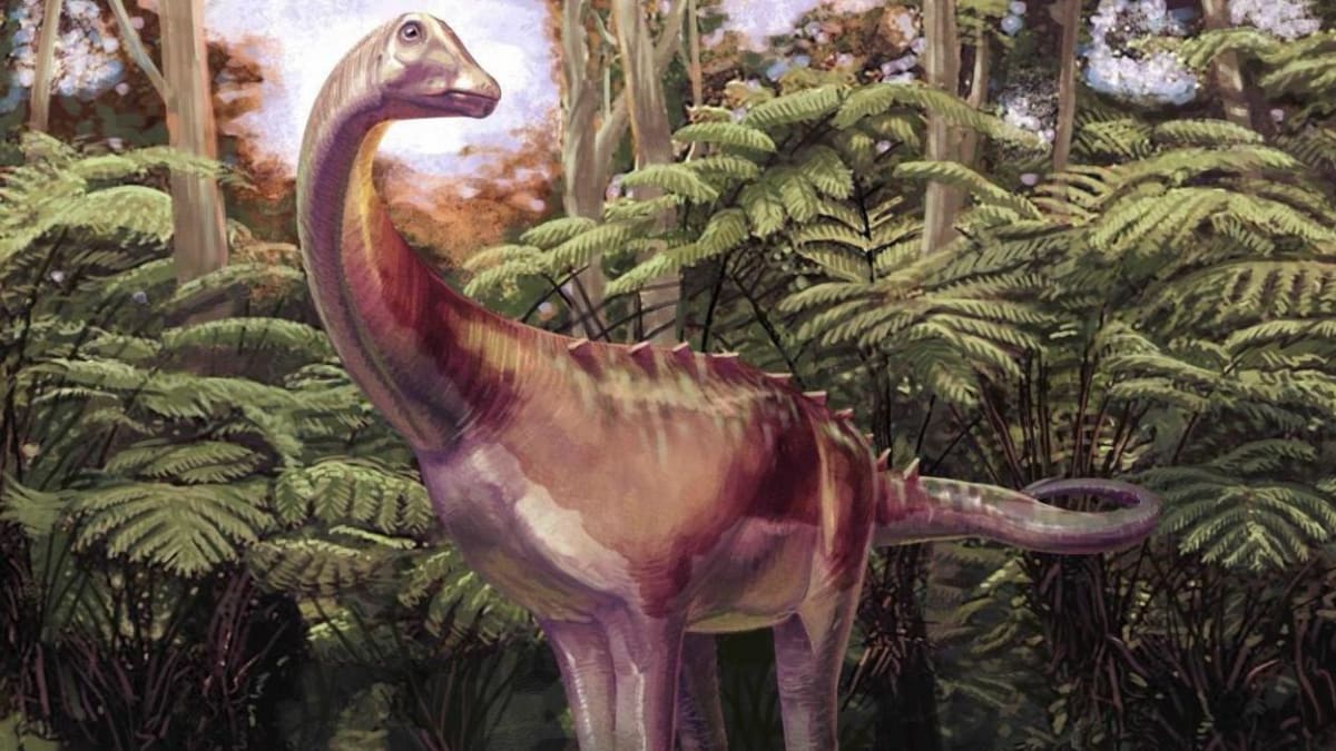 Forgotten Fossil is Antarctica's First Dinosaur Bone - Image 4