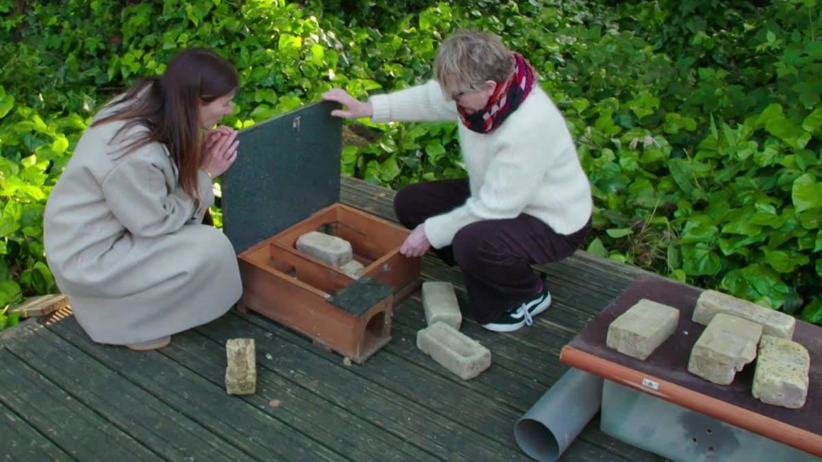 London Neighbors Build Hedgehog Highway to Save Species - Image 4