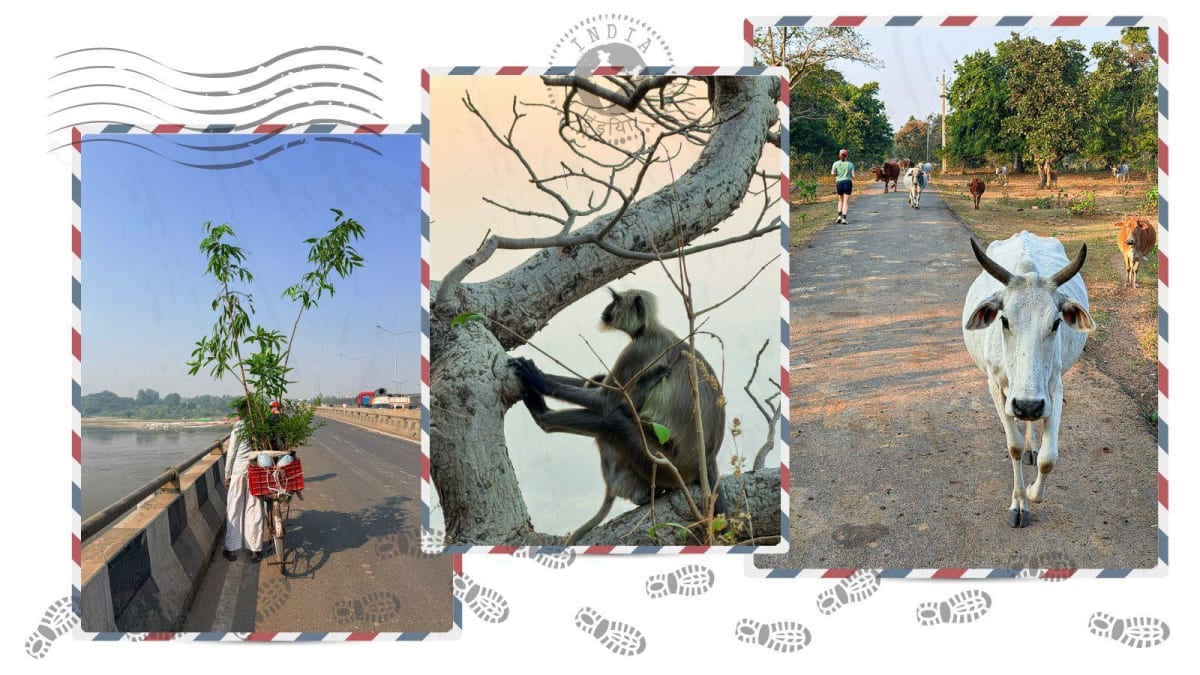 Woman Runs 100 Marathons in 100 Days Across India - Image 2