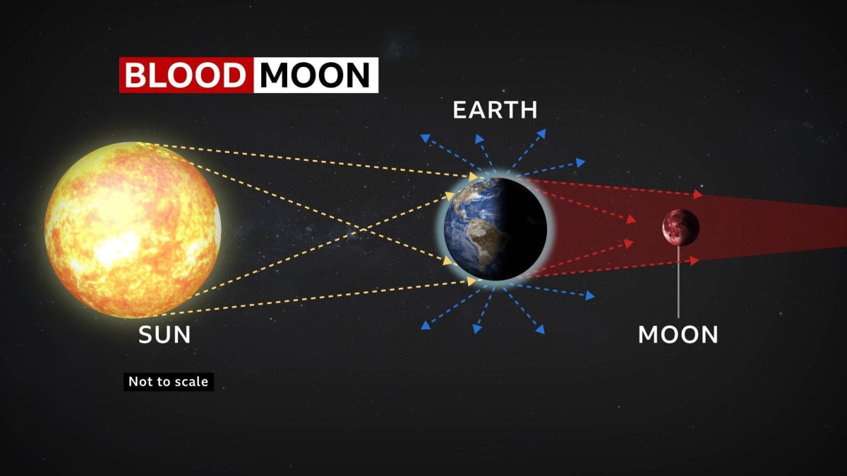 Rare Blood Moon Eclipse Graces UK Skies Friday Morning - Image 4