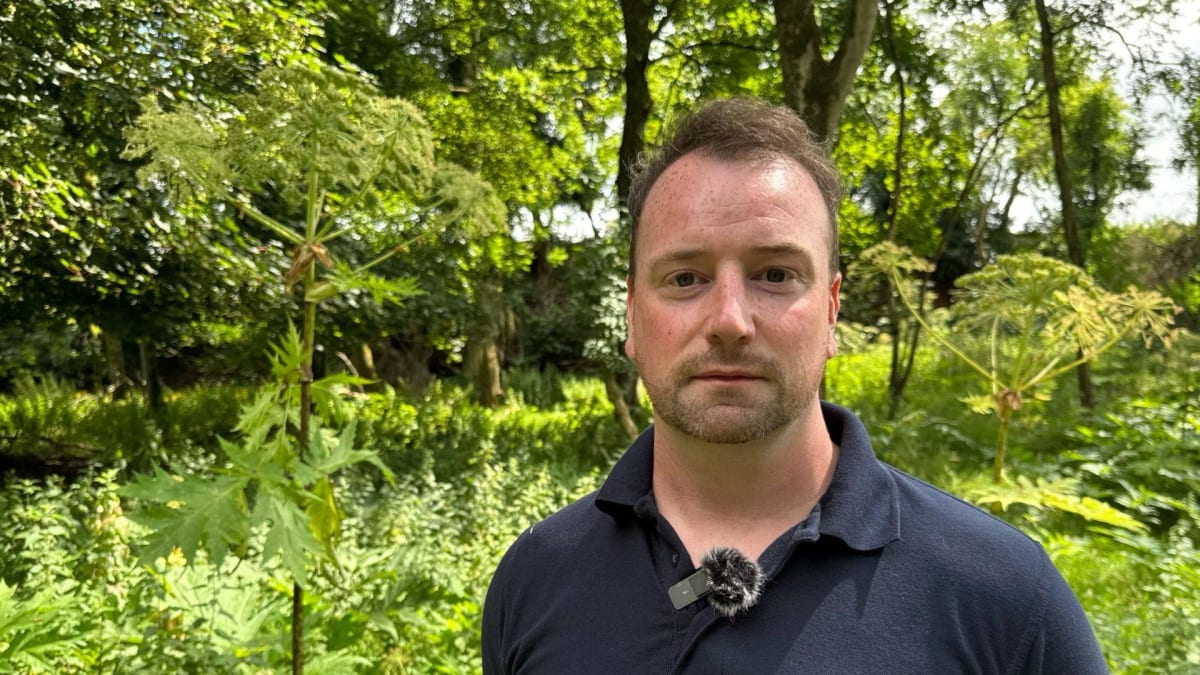 Ireland River Project Cuts Toxic Giant Hogweed by 50% - Image 3