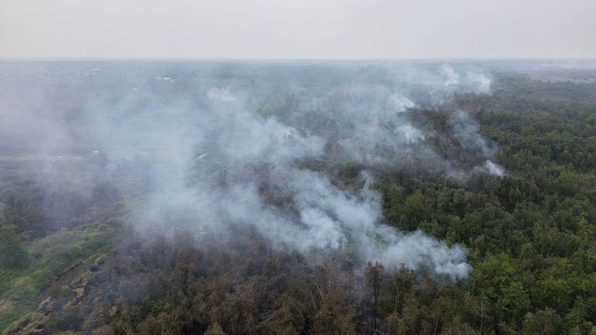 Borneo Volunteers Battle 'Carbon Bomb' Fires for a Month - Image 3
