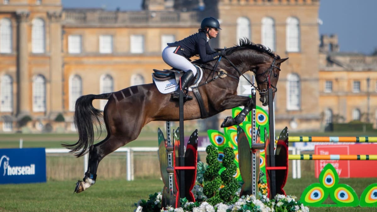 Paralyzed Eventer Reaches World Championships in 8 Months - Image 3