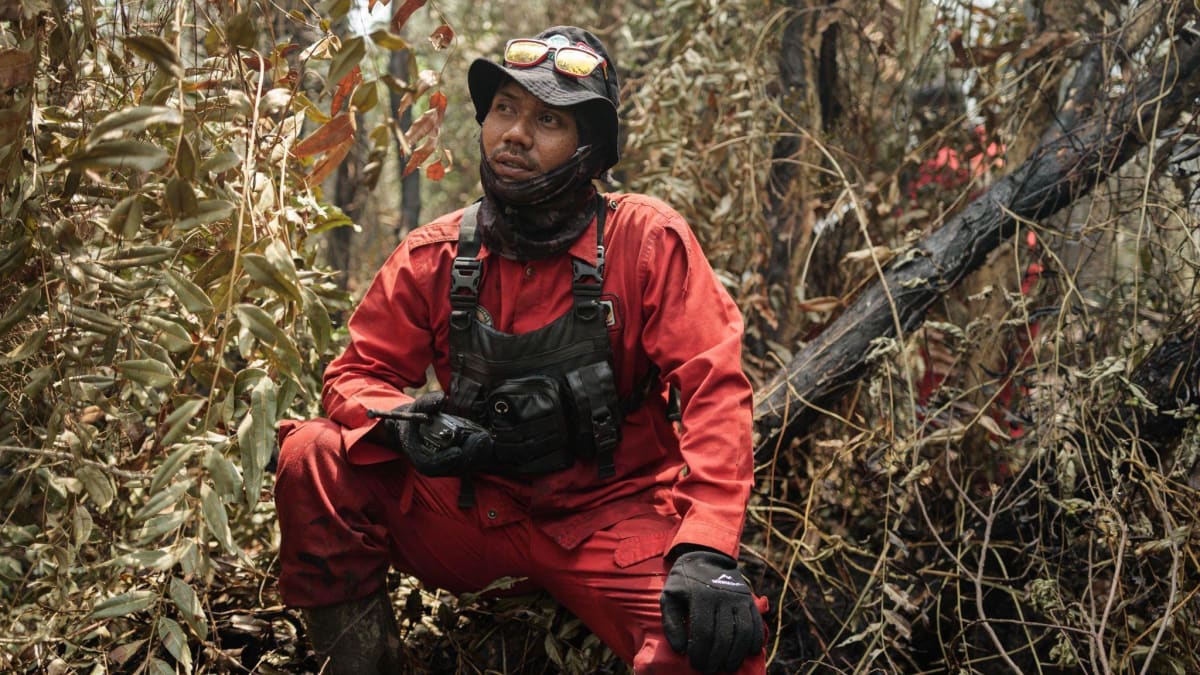 Borneo Volunteers Battle 'Carbon Bomb' Fires for a Month - Image 4