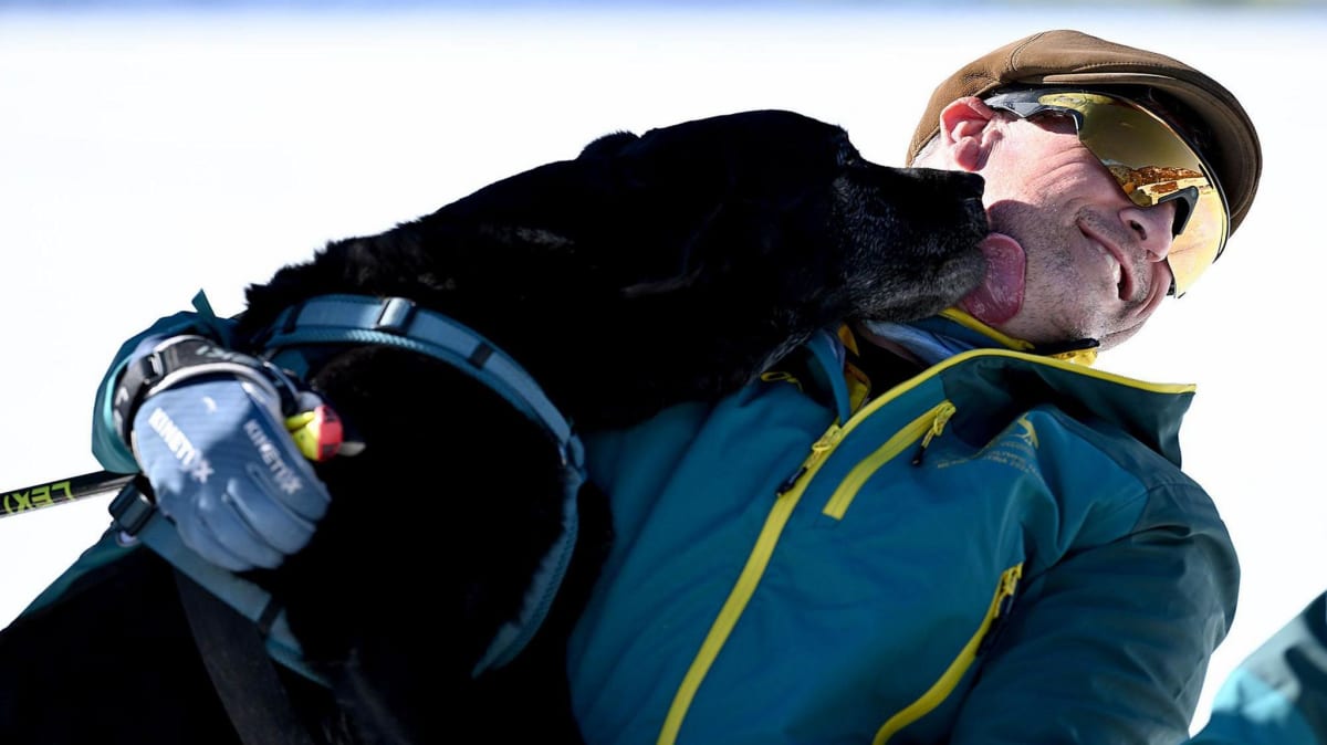 Guide Dog Pickle Steals Hearts at Winter Paralympics - Image 4