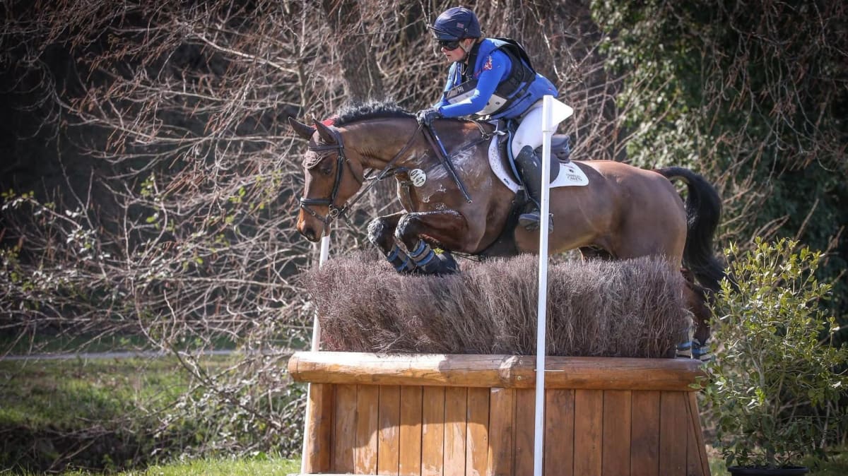 Paralyzed Eventer Reaches World Championships in 8 Months - Image 2