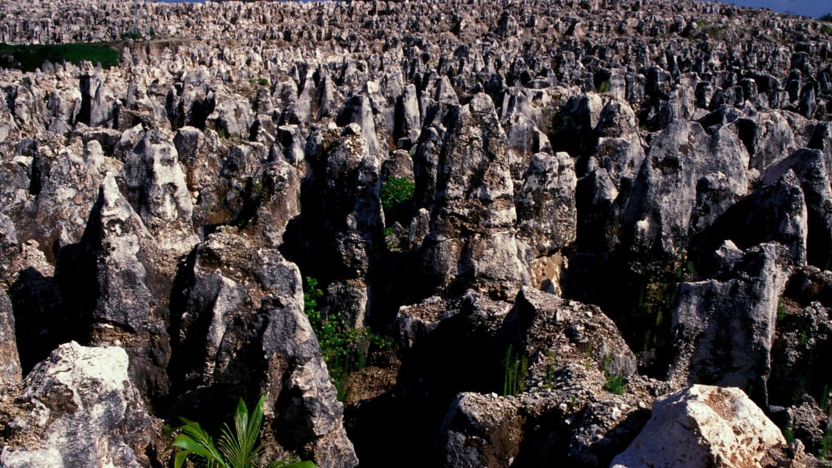 Tiny Nauru Dreams of Playing Its First Soccer Match Ever - Image 4