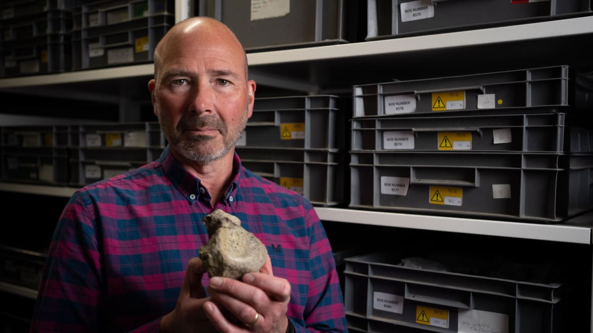 Forgotten Fossil is Antarctica's First Dinosaur Bone - Image 3
