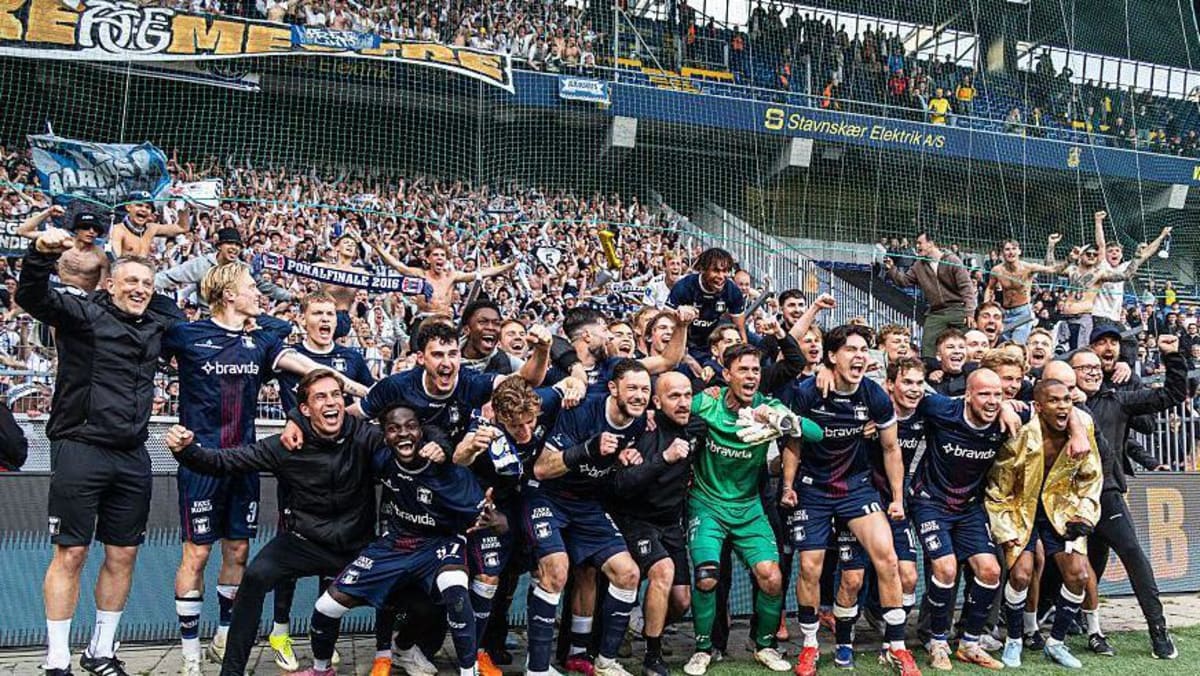 Danish Team Wins First Title in 40 Years at Makeshift Stadium - Image 5