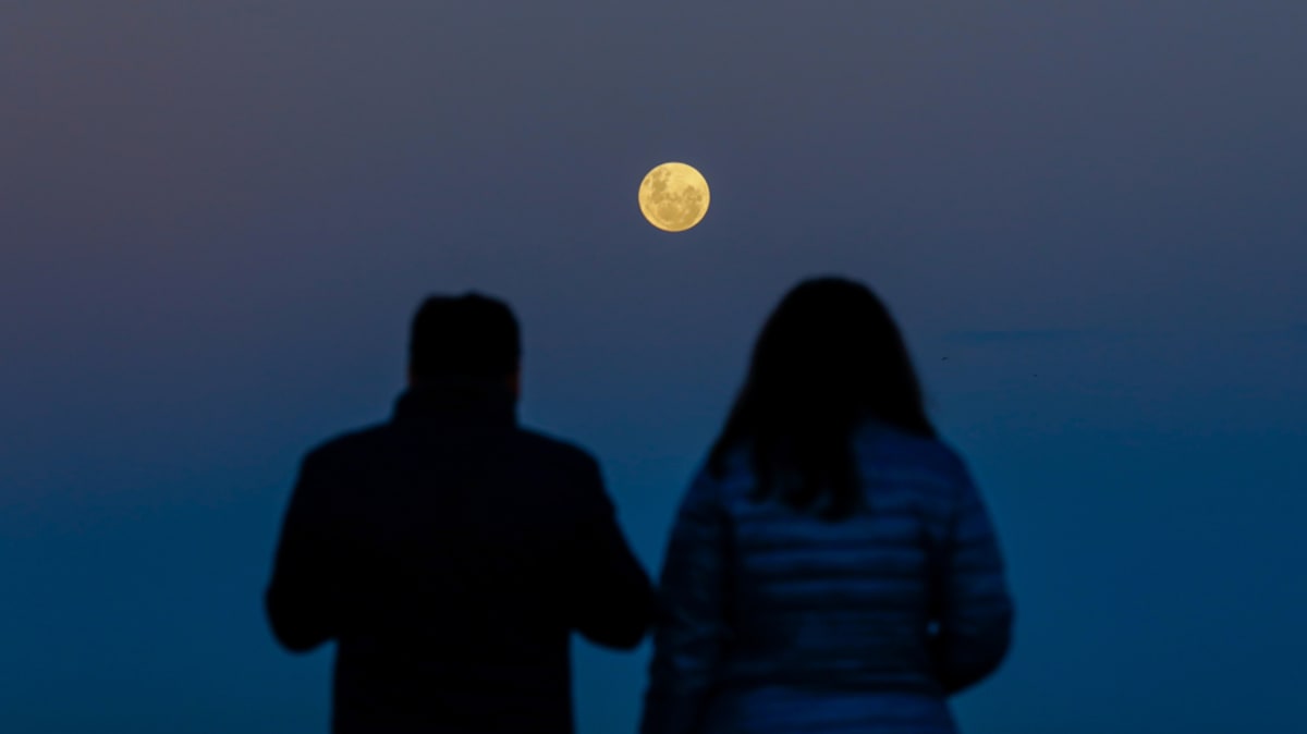 Strawberry Moon Lights Up Summer Skies Tonight - Image 3