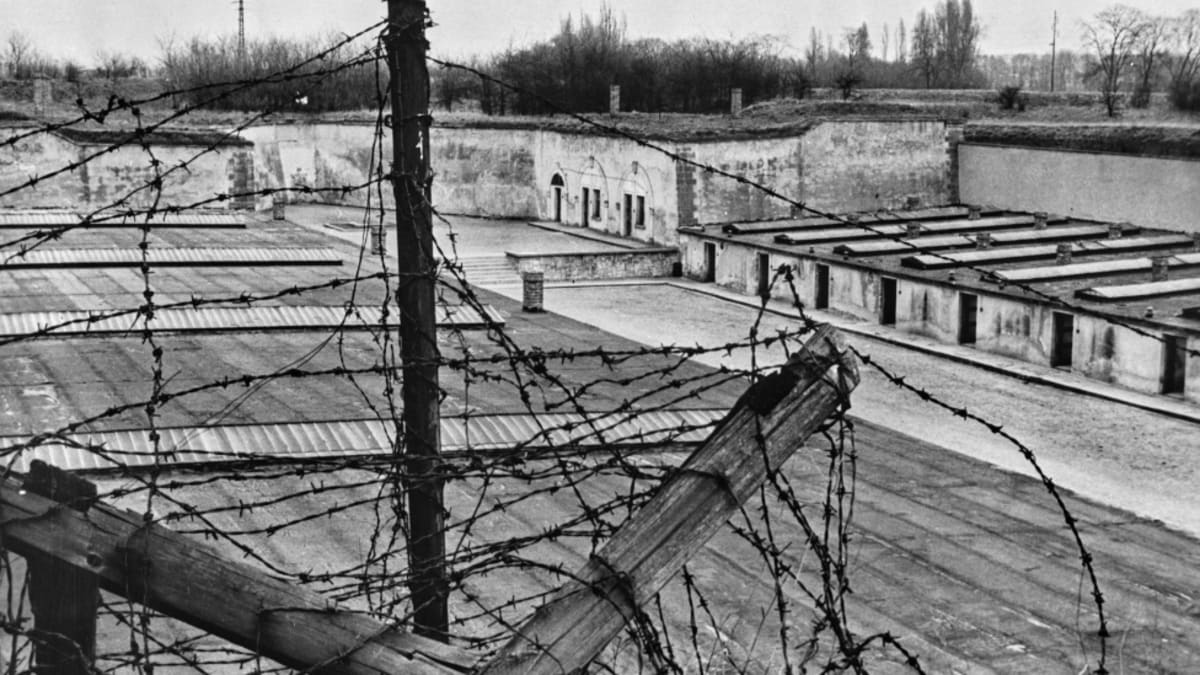 Holocaust Survivor Receives Tribute After 1,000 School Visits - Image 3