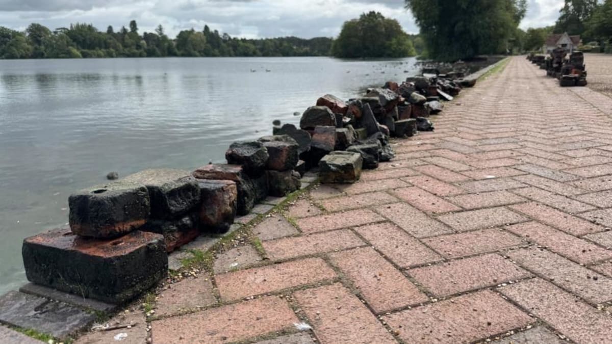 Hot Summer Helps Volunteers Clear Lake of Years of Litter - Image 3