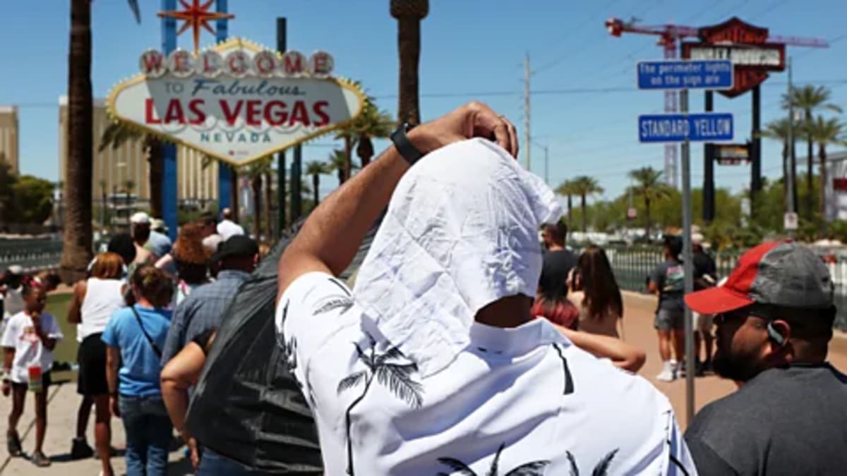 US Cities Plant Trees, Paint Streets White to Beat Heat - Image 2