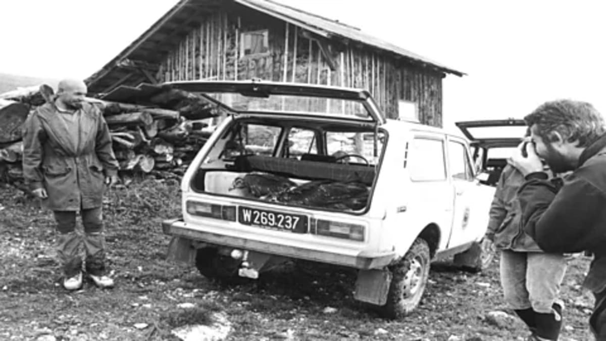 Alps' Vultures Soar Back from Extinction: 118 Pairs Now - Image 4