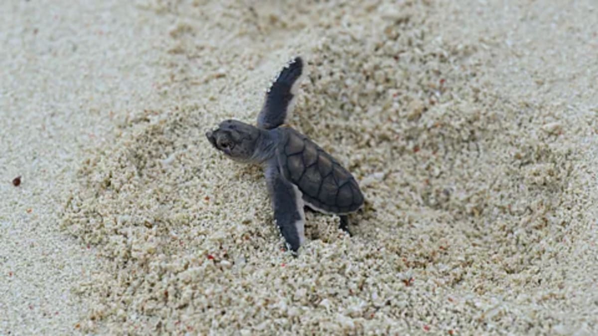 9 Science-Backed Ways to Turn Anxiety Into Strength - Image 4