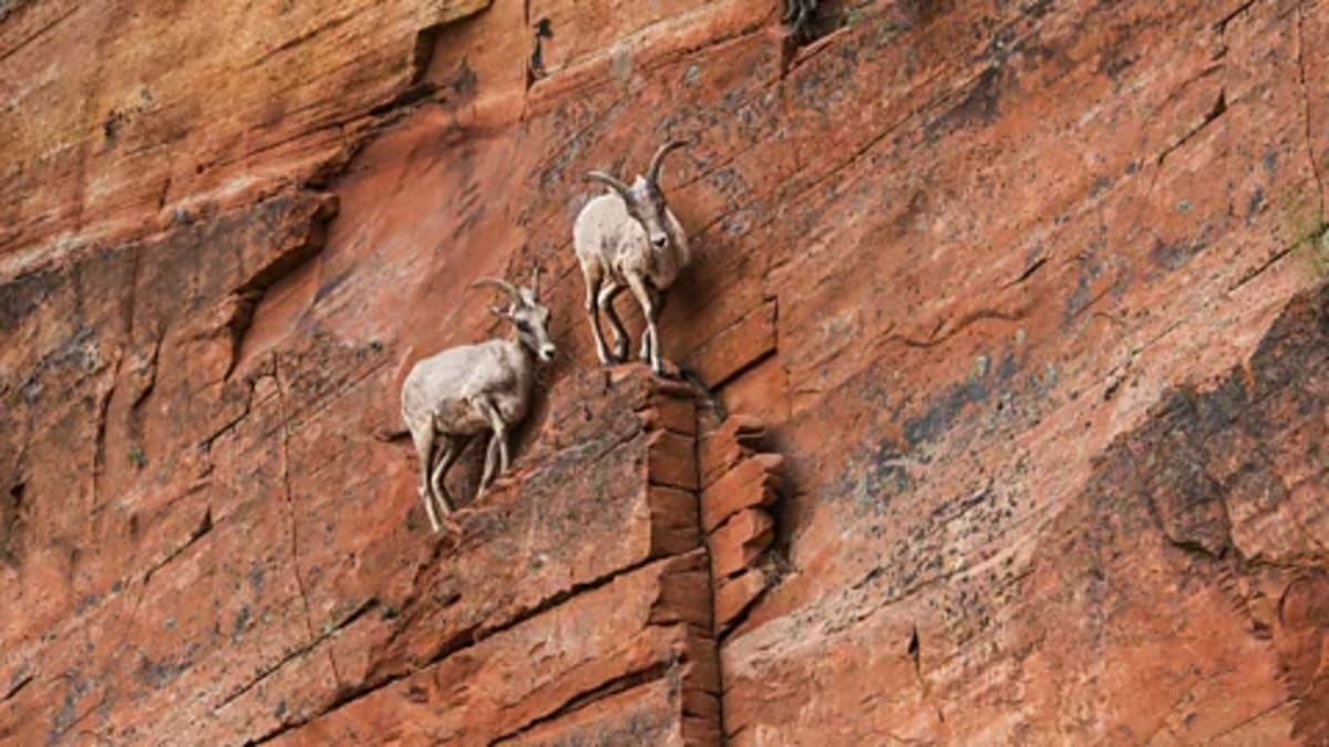 9 Science-Backed Ways to Turn Anxiety Into Strength - Image 2