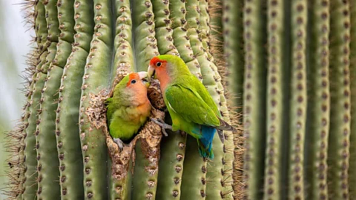 9 Science-Backed Ways to Turn Anxiety Into Strength - Image 3