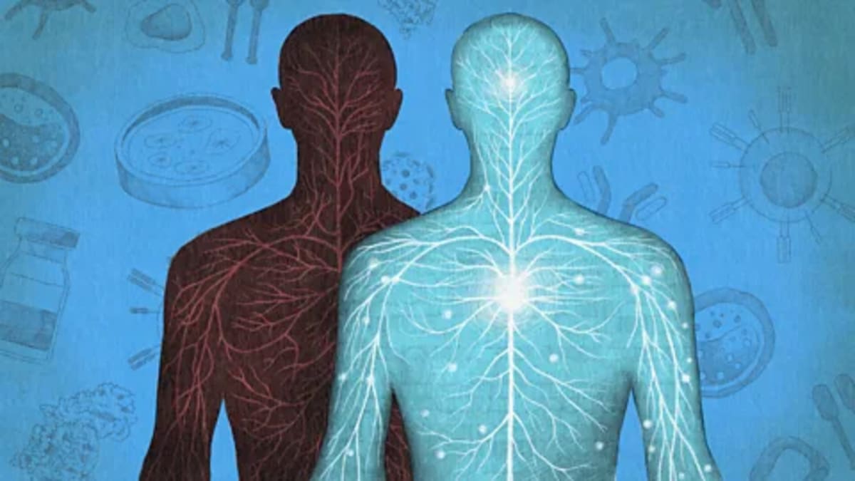 New Immunotherapy Eliminates Cancer Without Surgery - Image 4