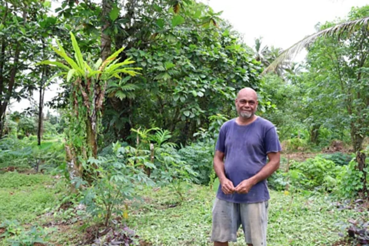 Fiji Revives Ancient Weather Wisdom to Predict Cyclones - Image 3