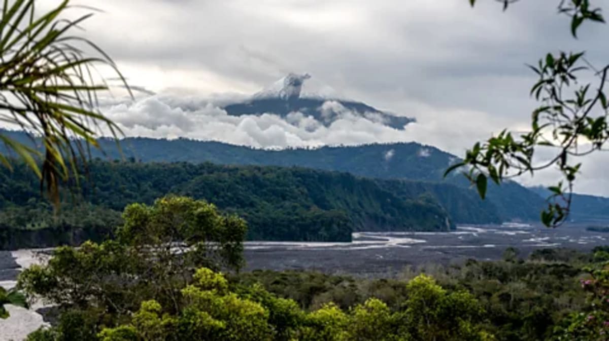 Ecuador's 3,000-Year-Old Amazon 'City' Rewrites History - Image 5