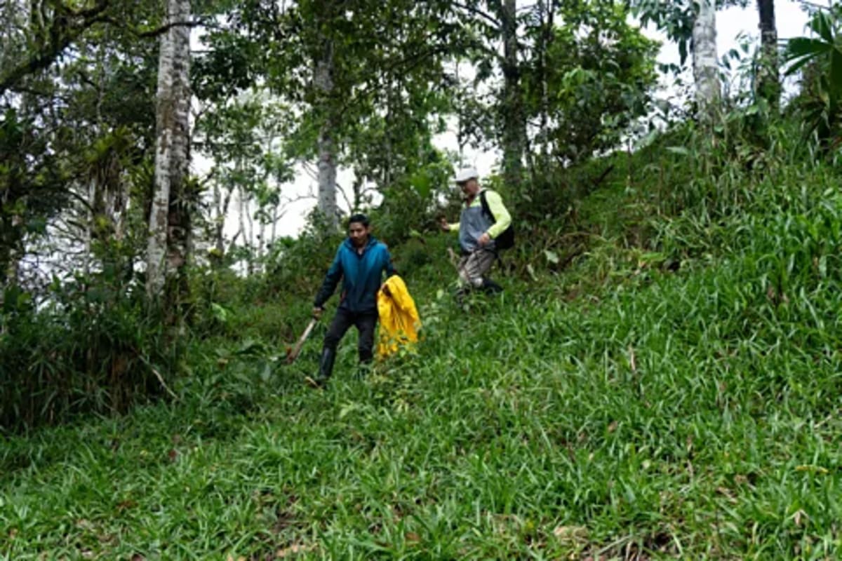 Ecuador's 3,000-Year-Old Amazon 'City' Rewrites History - Image 4