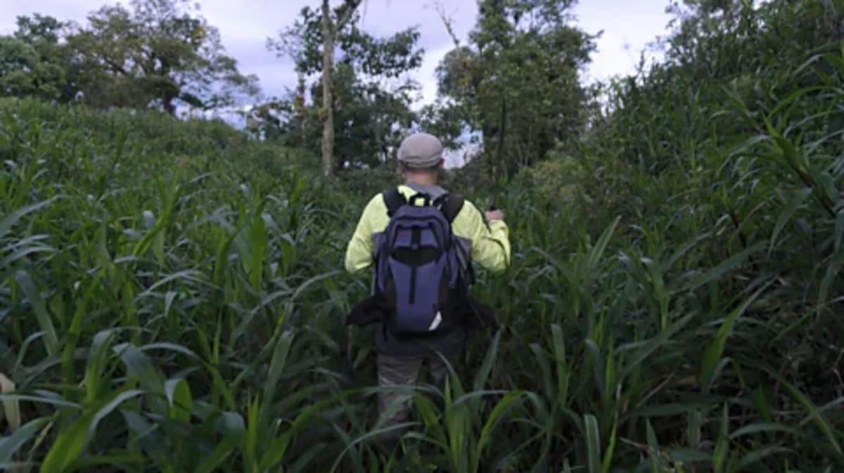 Ecuador's 3,000-Year-Old Amazon 'City' Rewrites History - Image 2