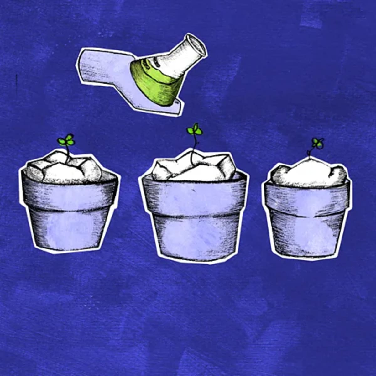 Scientists Grow Human Teeth to Replace Fillings, Implants - Image 3