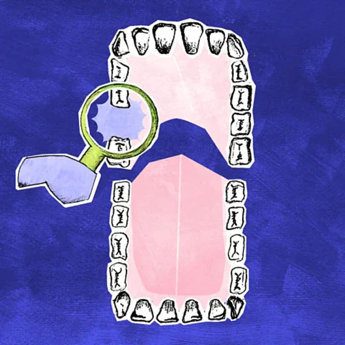Scientists Grow Human Teeth to Replace Fillings, Implants - Image 4