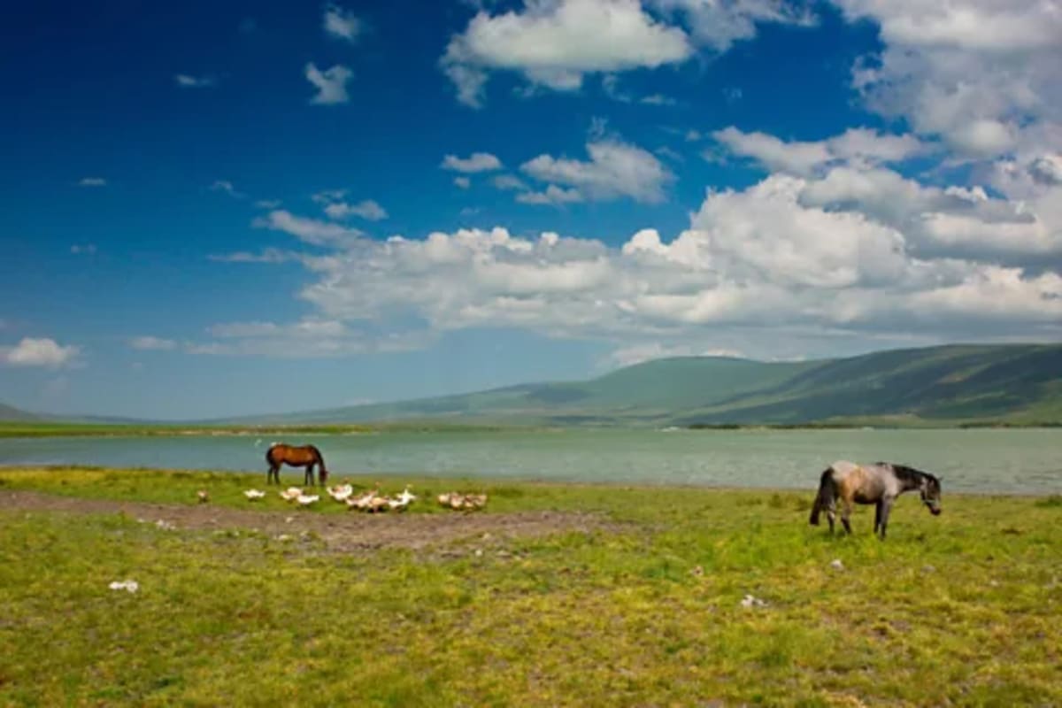 Scientists Save Turkey's Last Lakes for Migrating Birds - Image 2