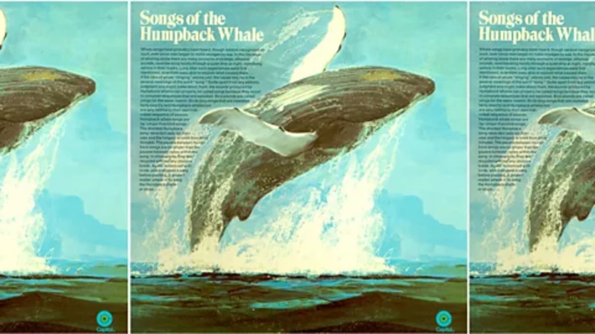 How Whale Songs Sparked a Movement That Saved a Species - Image 2