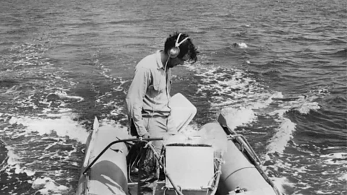 How Whale Songs Sparked a Movement That Saved a Species - Image 3