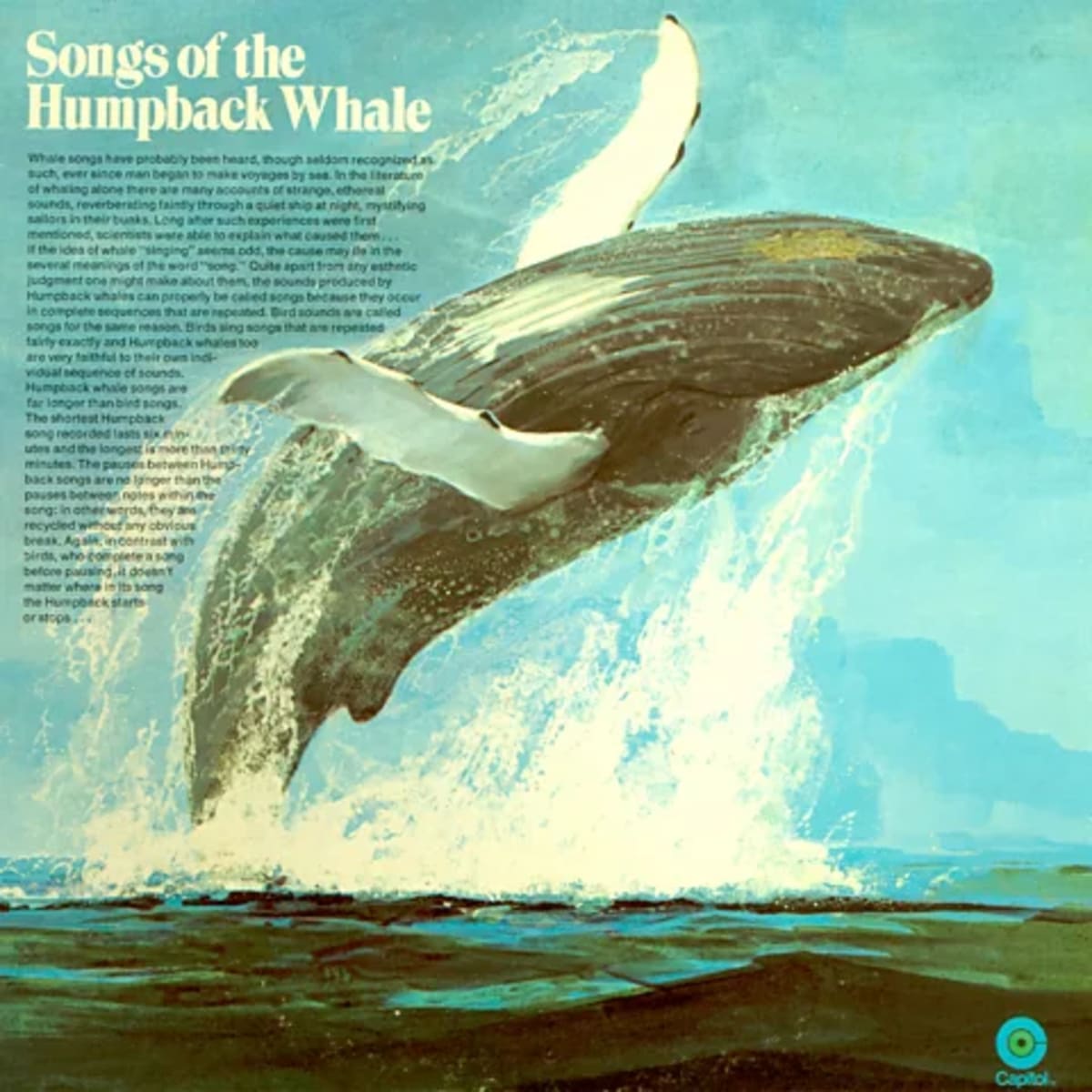 How Whale Songs Sparked a Movement That Saved a Species - Image 4