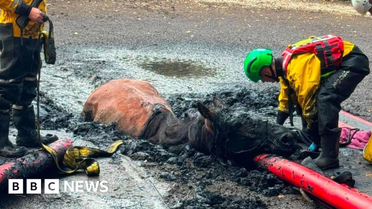 Bedfordshire firefighters standing with rescued horse after freeing it from muddy bog