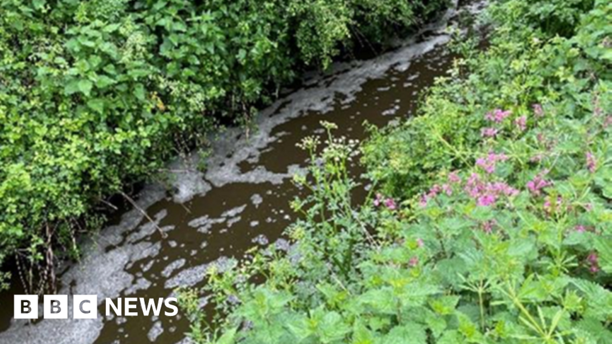 Dorset Farms Pay £33.5K to Restore Wildlife After Pollution