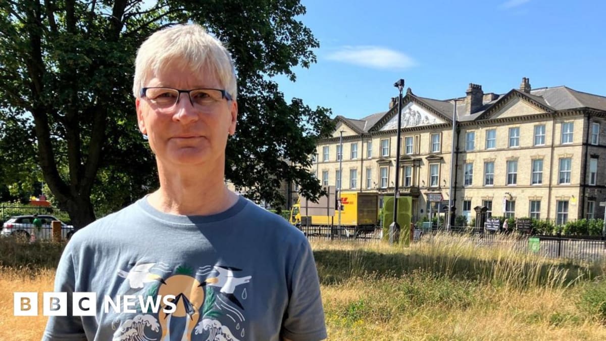 Hull Mini Meadow Brings 10 Butterfly Species to City Centre