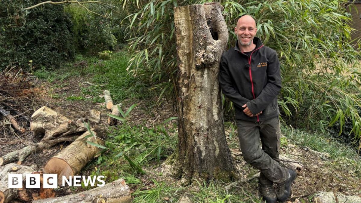 Olympic Diver Pete Waterfield Swaps 10m Platform for Trees