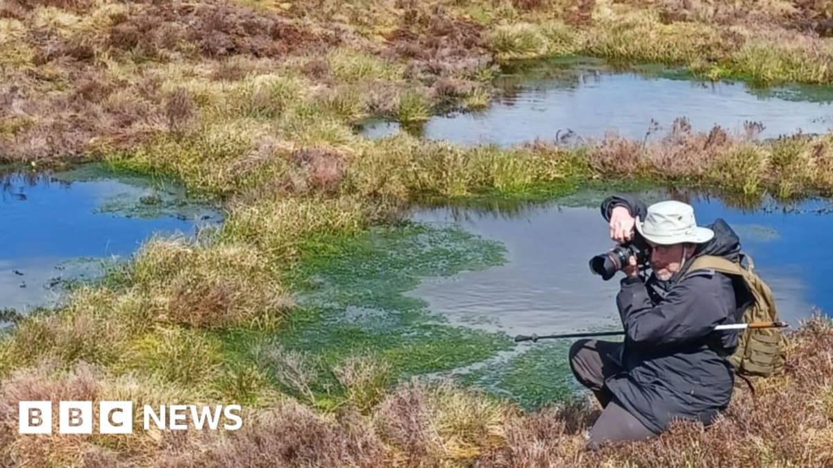 The Bogfather: Wales Scientist Restores Bogs to Fight Climate