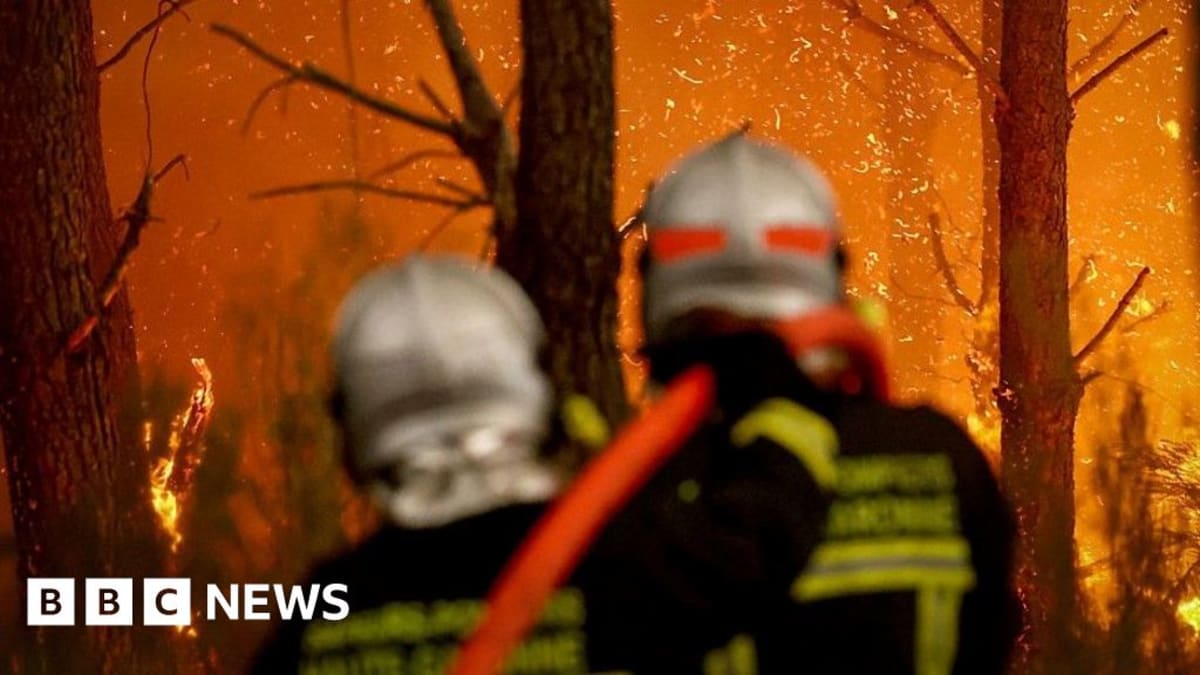 AI-assisted camera tower scanning French forest landscape for early wildfire detection signs