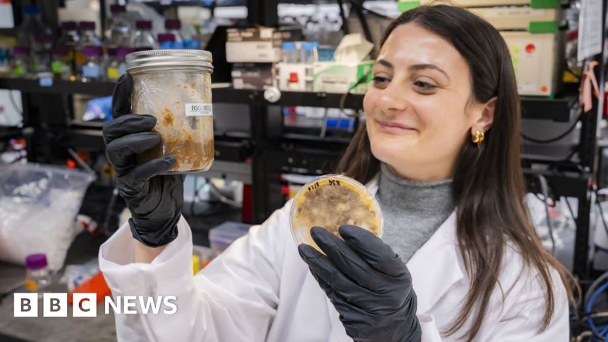 Scientists Turn Food Waste Into Cheese Using Ancient Trick