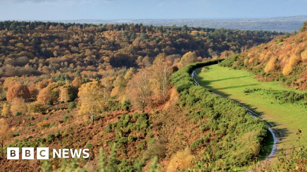 Tunnel Project Accidentally Creates Wildlife Paradise in UK