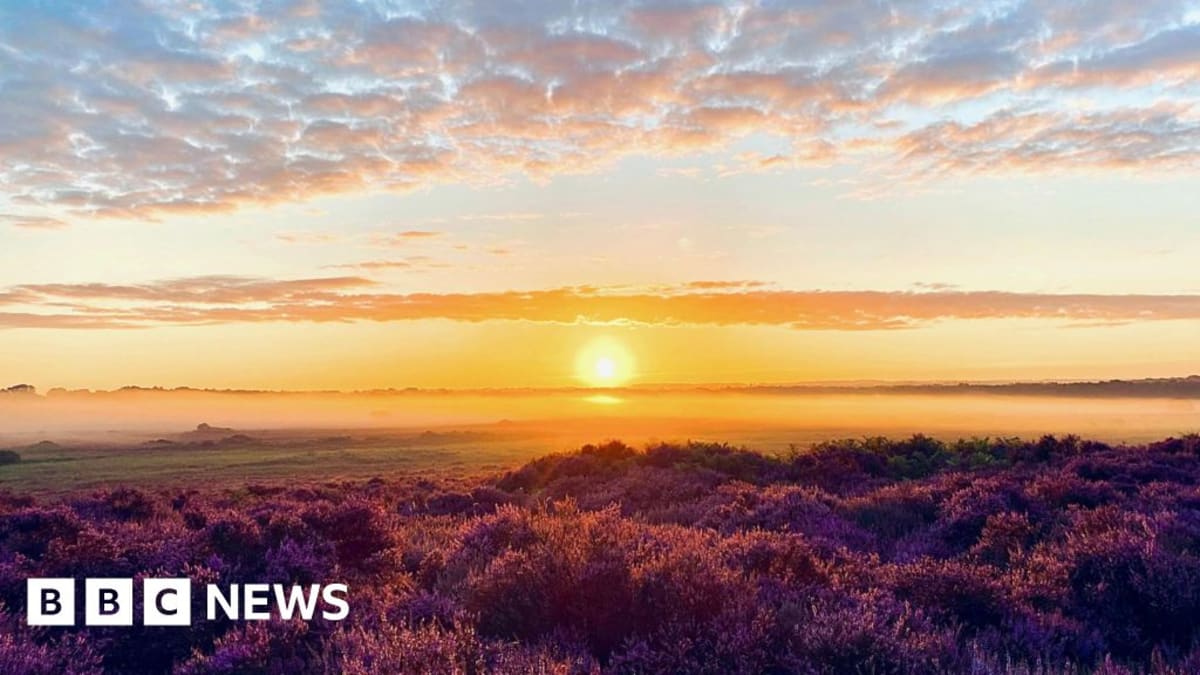 Sun rising over Roydon Common nature reserve managed by Norfolk Wildlife Trust