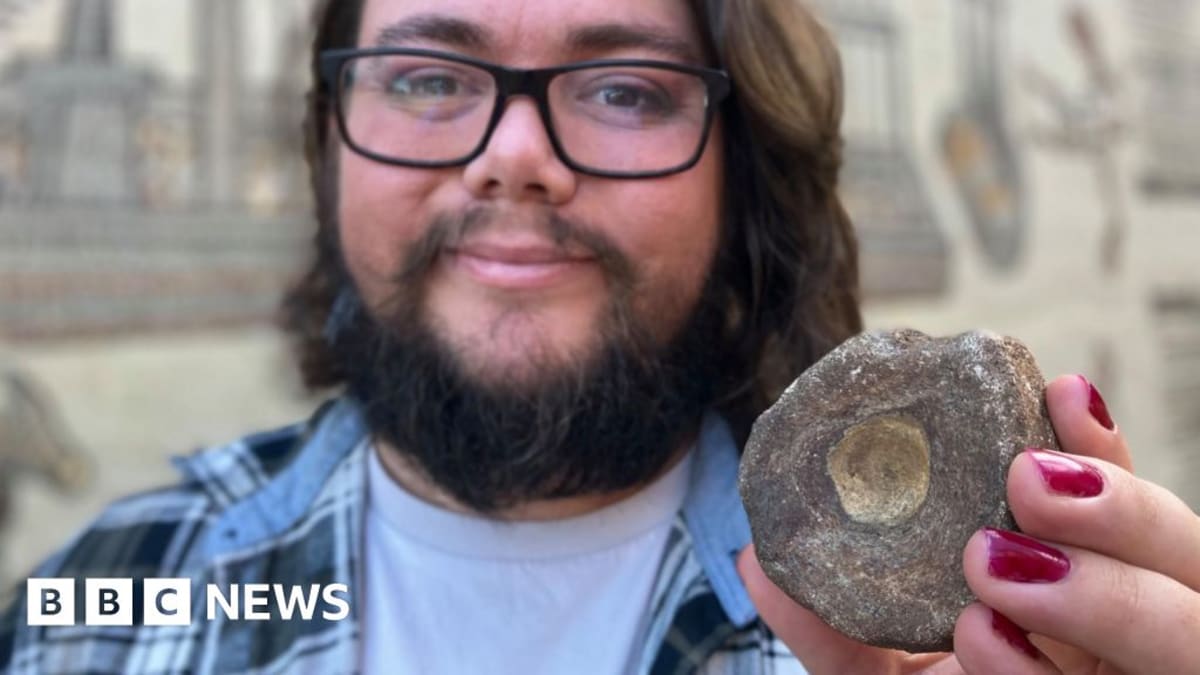Romans Collected Fossils 1,900 Years Before Paleontology