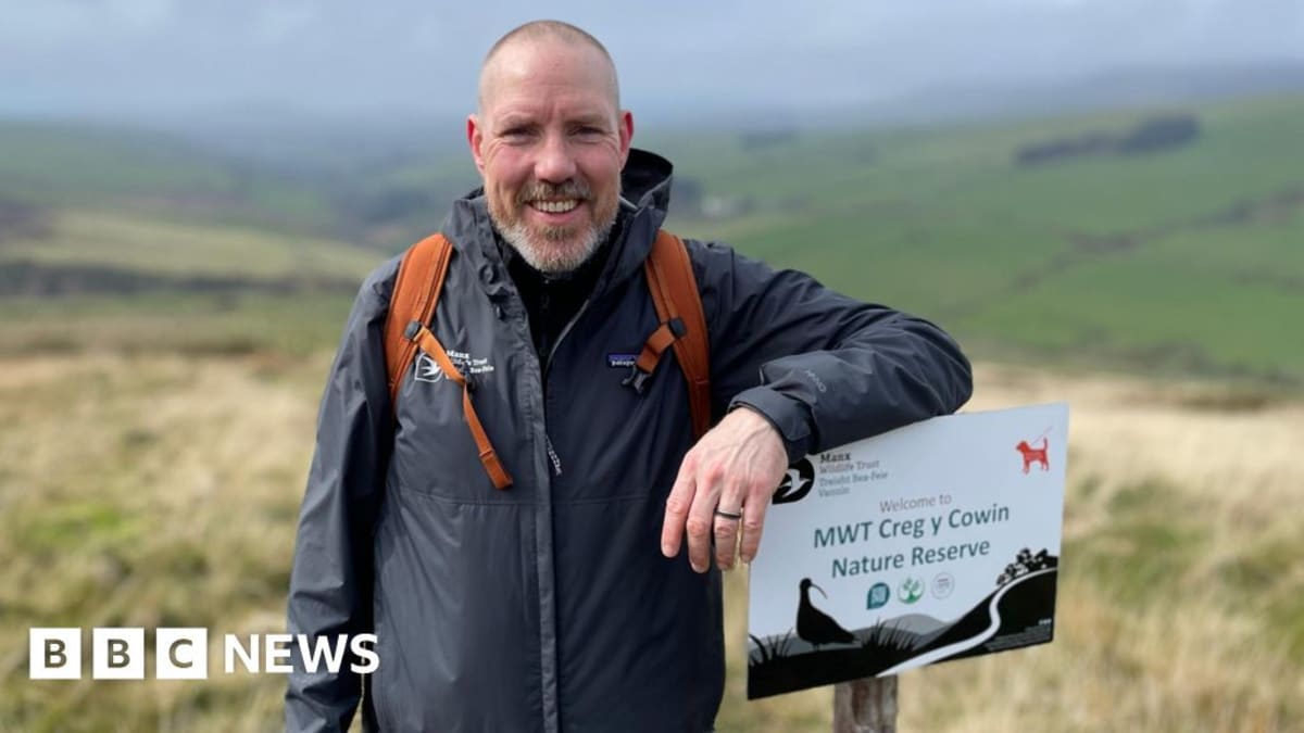 Isle of Man Plants 30,000 Trees to Restore Lost Rainforest
