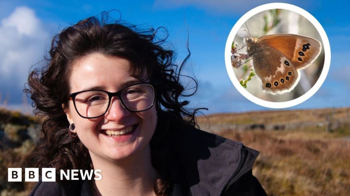Conservationist Georgina Paul stands in Welsh peat bog wetland studying endangered large heath butterflies